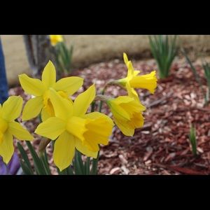 Meet your Posher, Jodie